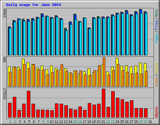 Daily usage for June 2024