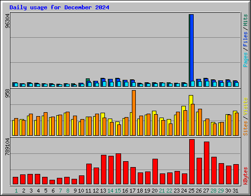 Daily usage for December 2024