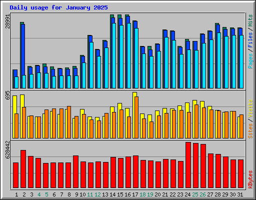 Daily usage for January 2025
