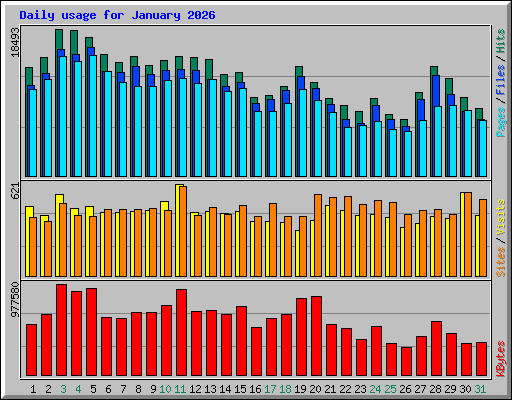 Daily usage for January 2026