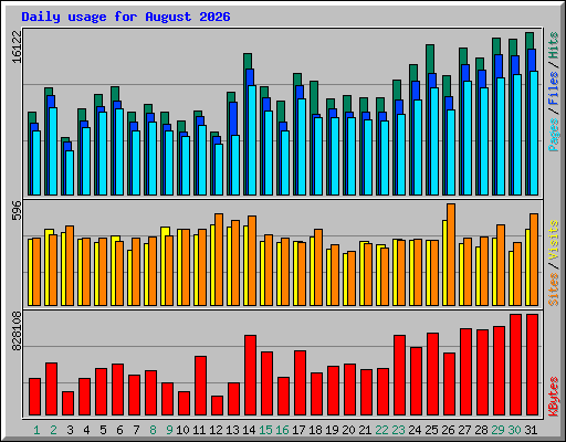 Daily usage for August 2026