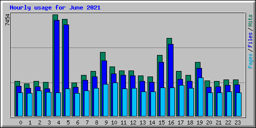 Hourly usage for June 2021
