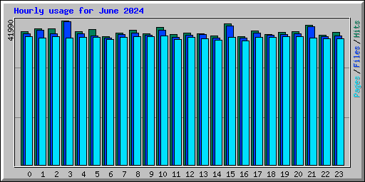 Hourly usage for June 2024