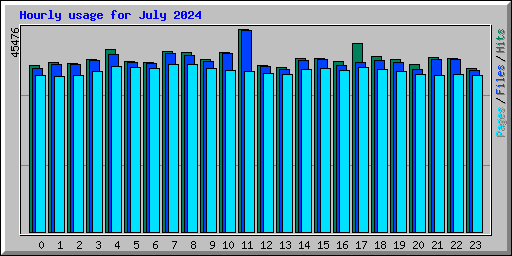 Hourly usage for July 2024