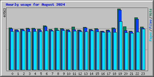 Hourly usage for August 2024