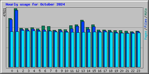 Hourly usage for October 2024