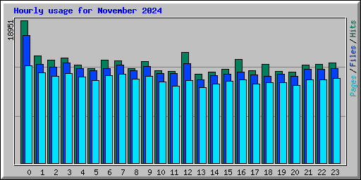 Hourly usage for November 2024