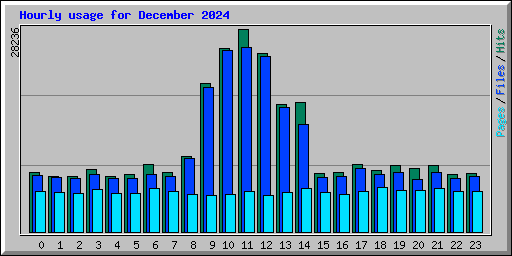Hourly usage for December 2024