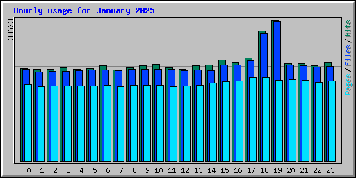 Hourly usage for January 2025