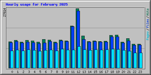 Hourly usage for February 2025