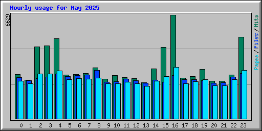Hourly usage for May 2025