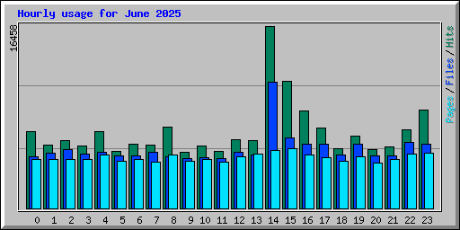 Hourly usage for June 2025