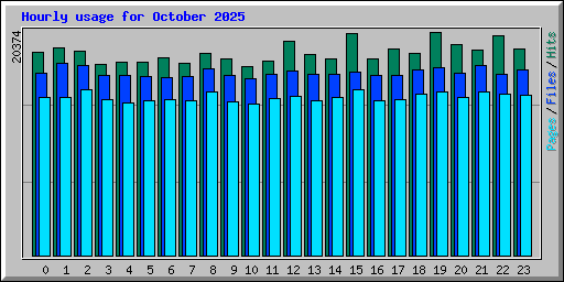 Hourly usage for October 2025
