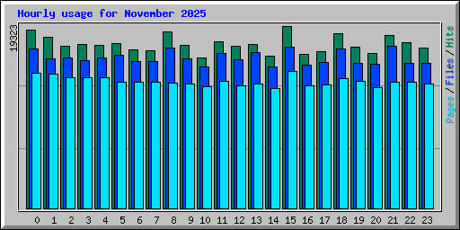 Hourly usage for November 2025