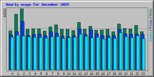 Hourly usage for December 2025
