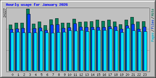 Hourly usage for January 2026