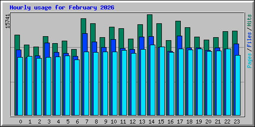 Hourly usage for February 2026