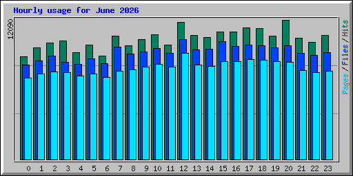 Hourly usage for June 2026