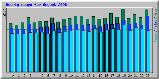 Hourly usage for August 2026